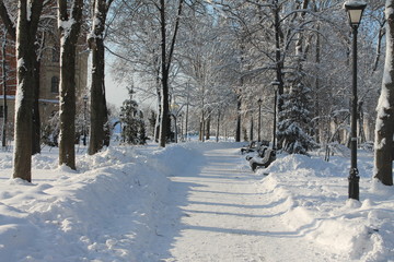 Winter Park on a sunny day