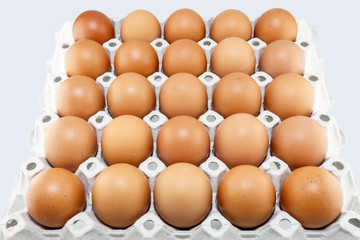 Eggs