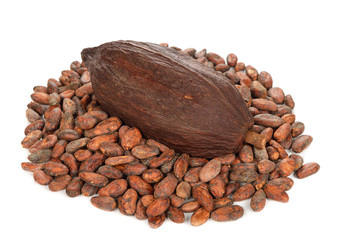 Cocoa beans