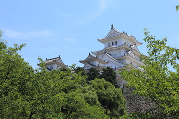 Fototapeta na wymiar Himeji Castle in Hyogo, Japan