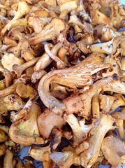 Mushrooms at farmers market