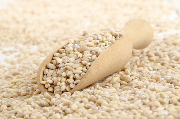 hulled pearl barley and a wooden shovel