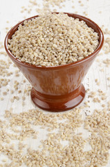 hulled pearl barley in a bowl