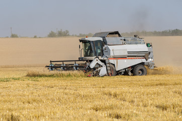 Obraz premium Combine harvester works in the field