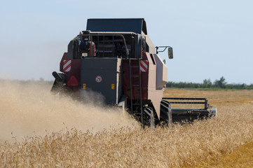 Obraz premium Mechanized harvesting wheat grain harvester