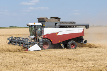 Mechanized harvesting wheat grain harvester