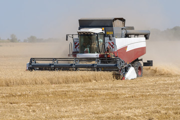 Mechanized harvesting wheat grain harvester
