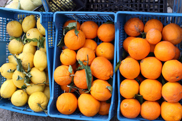 Sorrento lemons and oranges