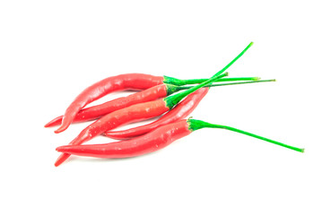 Hot chili  isolated on a white background