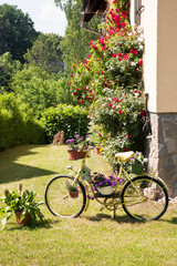 Fototapeta na wymiar Fahrrad als Halter für Blumenschmuck 672