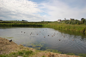 Ile de Batz : la mare