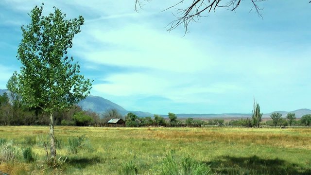 Holzhaus auf einer Weide hut on meadow