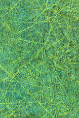 Fototapeta na wymiar Artificial Eco Leather Jade Green Crumpled Texture Sample