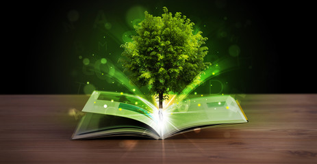 Open book with magical green tree and rays of light