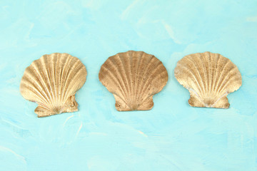 Colorful seashells on color background