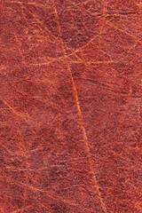 Fototapeta na wymiar Artificial Eco Leather Red Crumpled Texture Sample