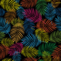 feathers colorful seamless pattern - 67451786