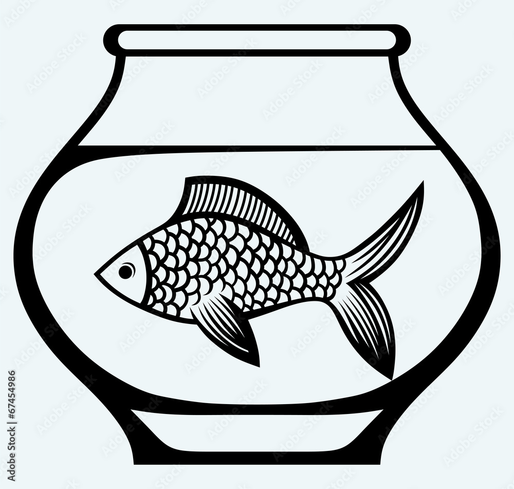 Wall mural fish in aquarium. image isolated on blue background