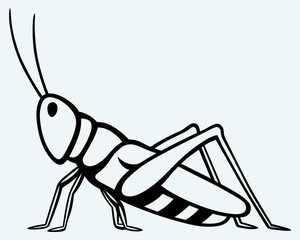 Grasshopper. Image isolated on blue background