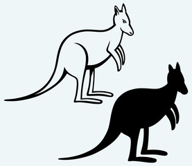 Kangaroo. Image isolated on blue background