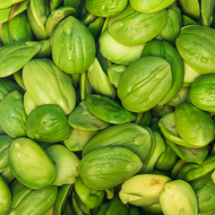 The Bitter bean.