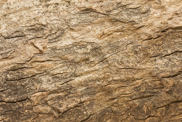 Background Texture of Weathered Wooden Beam With a Knot