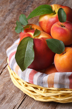 Fresh Juicy Nectarine, Peaches And Apricots In A Basket