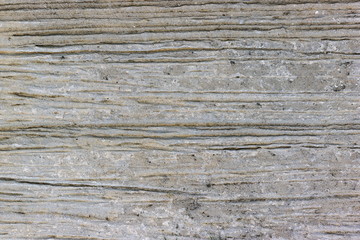 Cement texture background