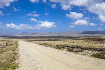 Fototapeta na wymiar Panoramic Gravel road on East Falkland