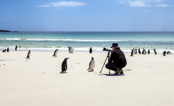 Photographer with penguins at Falkland Islands-2