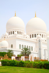 Fototapeta na wymiar Sheikh Zayed mosque
