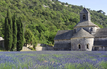 Senanque abbey