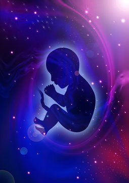 Silhouette illustration of human fetus on cosmic background