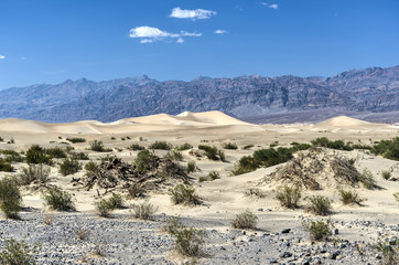 Mesquite Flat Sand Dunes, Death Valley