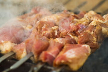 Preparation of a shish kebab of pork