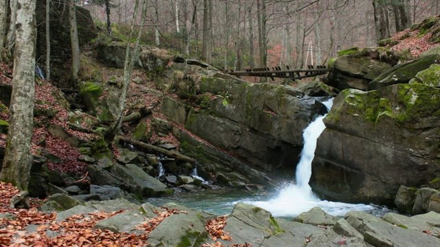 beautiful waterfall comes out of a huge rock in the forest