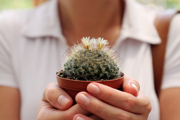 woman with cactus