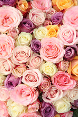 Obraz na płótnie Canvas Pastel wedding roses