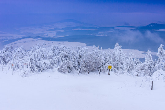 Verschneiter Winter-Wald und Berge