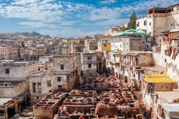 fes tannery