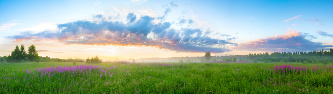 summer  landscape with sunrise