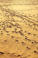 landscape view on footprints at sandy beach