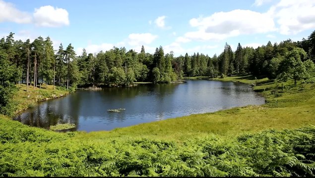 Tarn Hows Lake District National Park England uk o