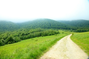 Nature. Road in the mountains. Summer landscape.