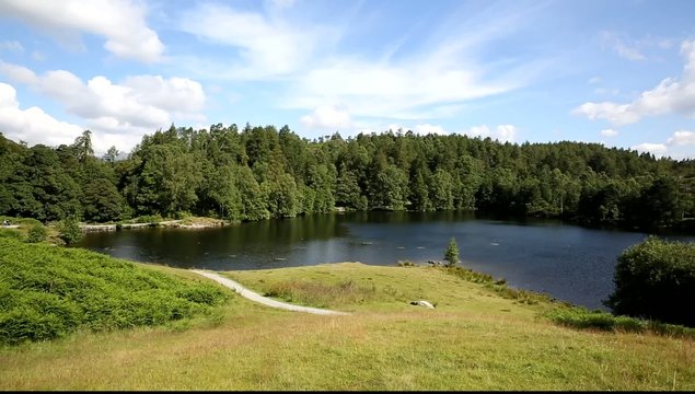 Tarn Hows near Hawkshead Lake District National Park England
