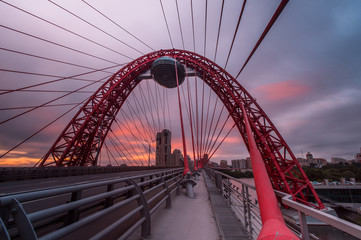 A modern cable-stayed bridge, Moscow, Russia