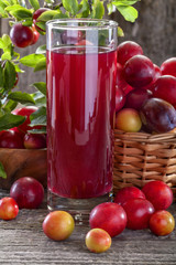 juice from sloes and domestic organically grown plums