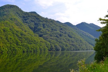 Obraz premium 池