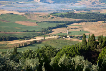 Naklejka premium Tuscany bales