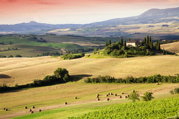 Fototapeta premium Tuscany bales